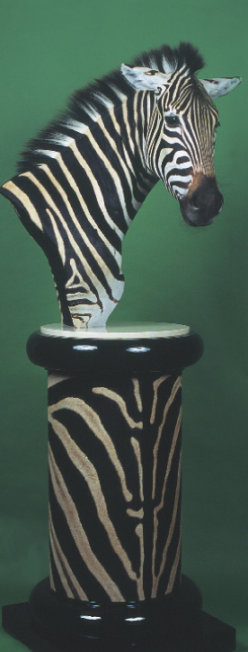 Zebra-Weickum