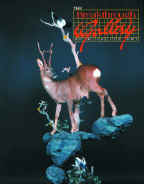 Roebuck.merged